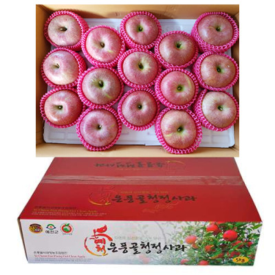 [예천은풍골사과] 사과(부사) 5kg(중과 14~16개)