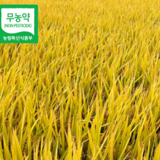[가오실농장] 2023년 햅쌀 우렁이쌀  무농약 백진주쌀(백미/현미) 10kg 20kg
