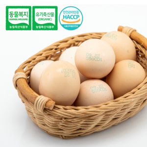 대한민국 최초 동물복지인증 백봉오골계 계란 20구