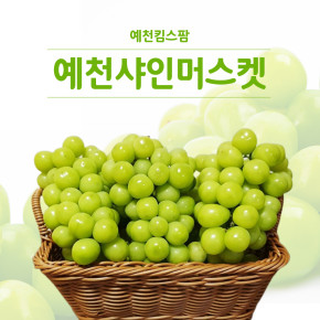 [예천샤인머스켓] 샤인머스켓 1.5kg(2~3과) 9월 5일 이후 배송